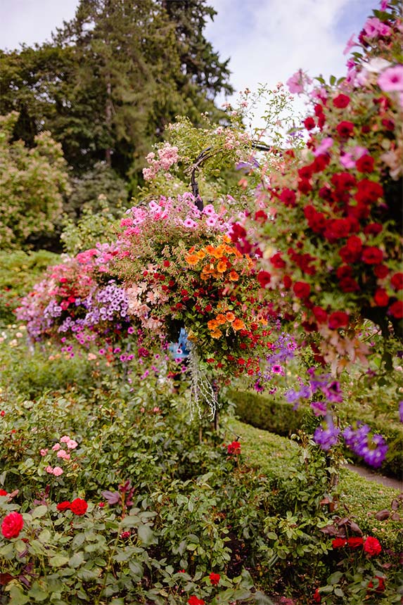 Offrez un bon départ à vos plantes acidophiles avec le terreau de Substral. Notre mélange qualitatif a été spécialement mis au point pour les rhododendrons, azalées et autres plantes acidophiles. Votre jardin en fleurs va vous époustoufler!