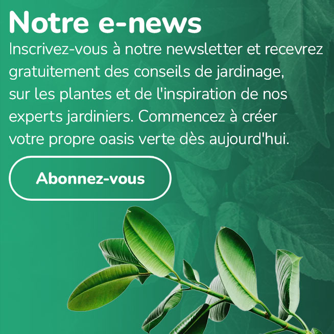 s abonner a la newsletter mensuelle