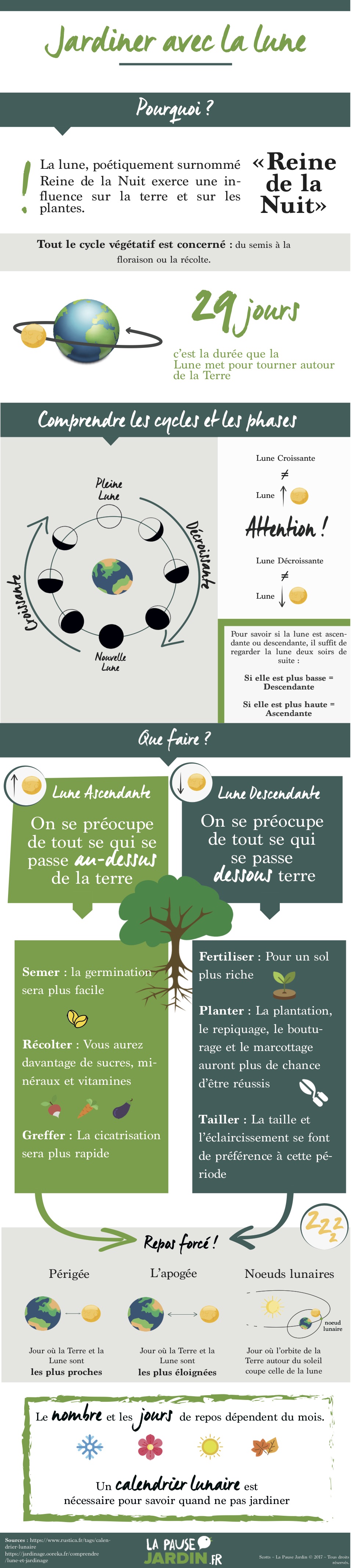 Infographie - jardiner avec la lune