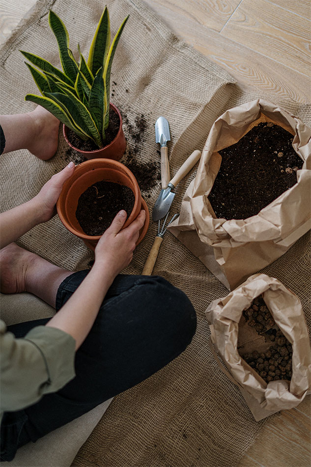 Découvrez quand il est temps de remplacer le terreau dans votre jardin. Nous vous expliquons comment voir si votre sol ne contient plus de nutriments, à quelle fréquence vous devez renouveler le sol et lequel convient le mieux pour vos plantes.