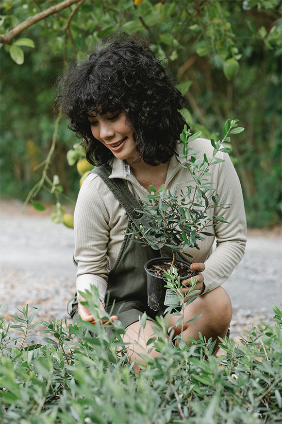 Par comparaison avec le compost, le terreau contient davantage de nutriments et offre un meilleur drainage. Découvrez pourquoi le terreau constitue le meilleur choix pour votre jardin et comment il peut aider vos plantes à bien se développer. Découvrez comment sélectionner aujourd'hui le terreau de la meilleure qualité en fonction de vos besoins.