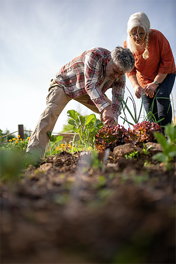 Gardez vos légumes en parfaite santé et protégez-les contre les maladies et parasites avec Substral Naturen polysect. Notre spray de protection fiable dépose une couche protectrice sur vos plantes qui repousse efficacement les insectes nuisibles. Profitez de la récolte de légumes sains et sans pesticides avec Substral Naturen.