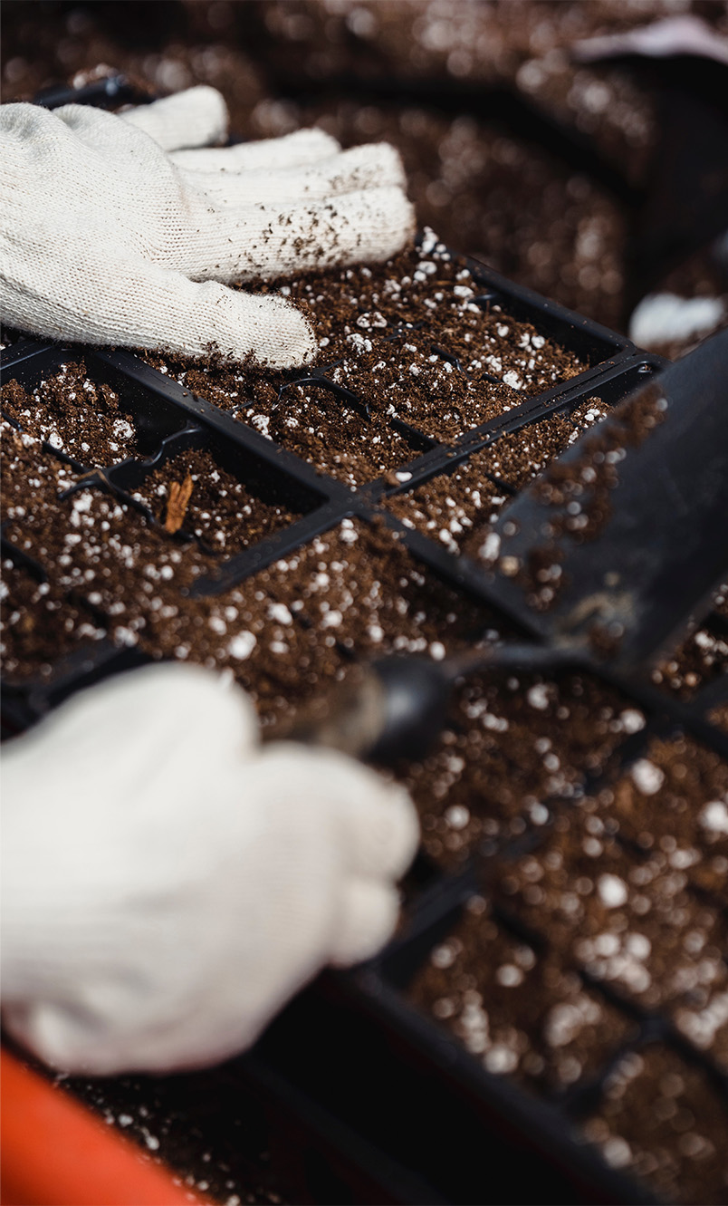 Tirez le maximum de votre jardin avec le terreau universel de Substral. Apprenez pour quelles plantes vous pouvez l'utiliser, où vous pouvez l'employer et comment le mettre en oeuvre de la bonne façon pour obtenir un résultat optimal. Préparez-vous à booster votre jardin avec Substral.