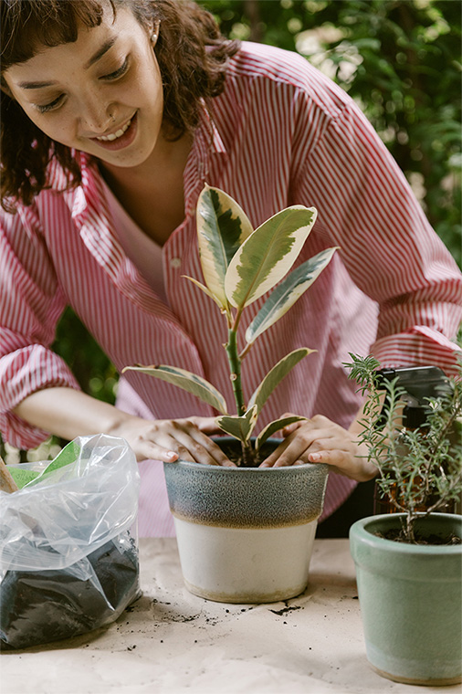 La technologie Fibre Smart assure une révolution pour la santé de vos plantes et la croissance des racines. Notre technologie permet d'obtenir un système radiculaire nettement plus vigoureux garantissant une meilleure absorption de l'eau et des nutriments, une meilleure résistance aux maladies ainsi qu'une absorption plus efficace de votre engrais préféré.