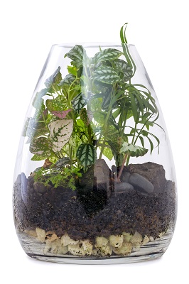 terrarium valentijn