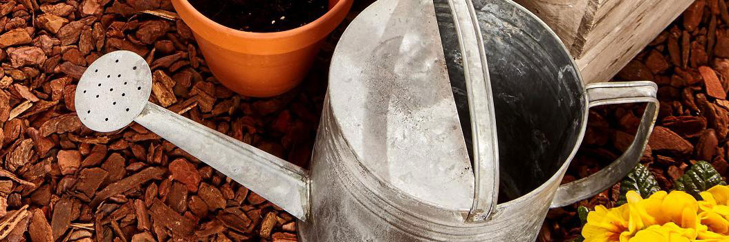 tuin te verzorgen bij warm en droog weer