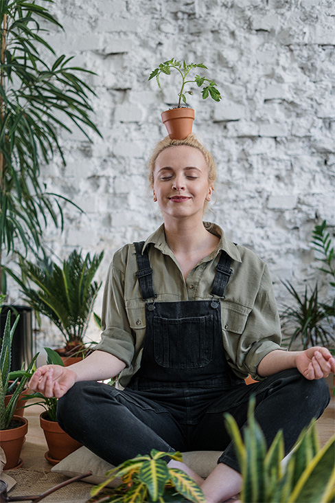 De potgrond van Substral is ontworpen om uw planten te laten gedijen! Het heeft een perfecte balans tussen voedingsstoffen, waterretentie en luchtzakken. Met de potgrond van Substral geniet je van gezondere planten en levendigere bloemen.