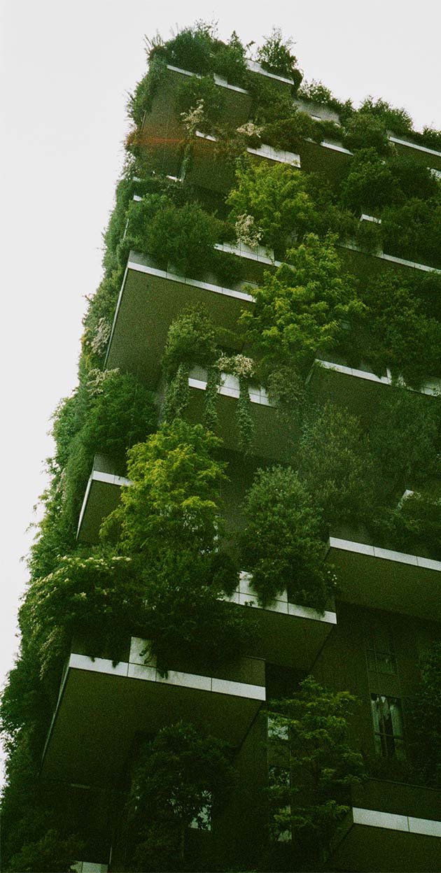 Substral biedt een uitgebreide selectie potgronden voor al uw tuinbehoeften. Onze hoogwaardige buxuspotgrond helpt je planten groeien en bloeien. Behaal vandaag nog de beste resultaten met de speciaal samengestelde buxusaarde van Substral!