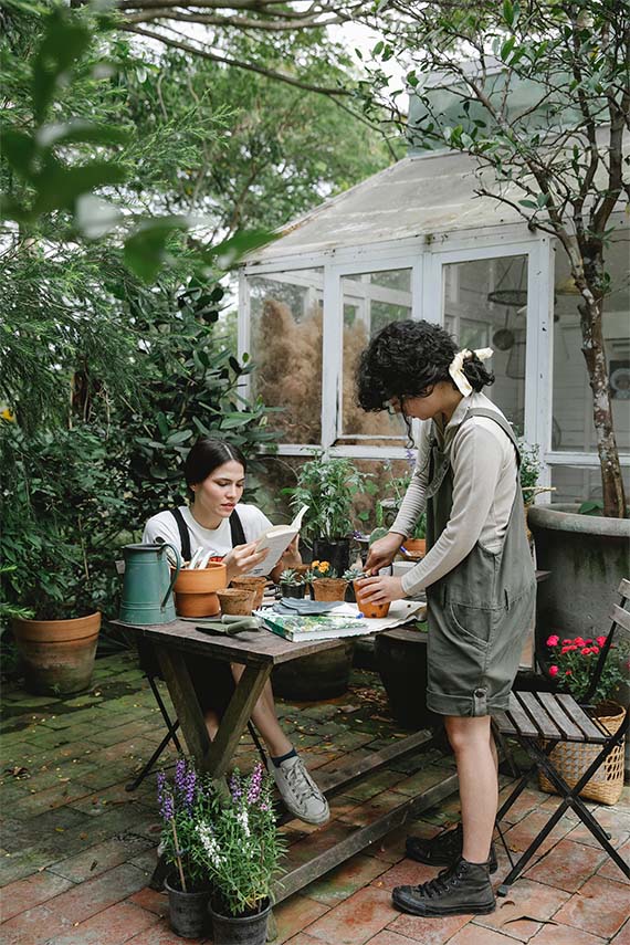 Substral biedt een assortiment potgrond voor rozen en andere planten die alle voedingsstoffen leveren die uw planten nodig hebben om te gedijen. Of je nu op zoek bent naar universele potgrond of iets specifiekers, Substral heeft het voor je.