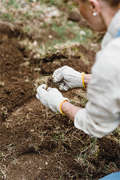 Substral Natures bodemverbeteraar is de perfecte manier om de structuur, vruchtbaarheid en pH-balans van uw bodem te verbeteren. Ervaar meer waterretentie, betere opname van voedingsstoffen en verbeterde wortelgroei. Krijg vandaag nog een gezonde bodem met deze natuurlijke en biologische oplossing.