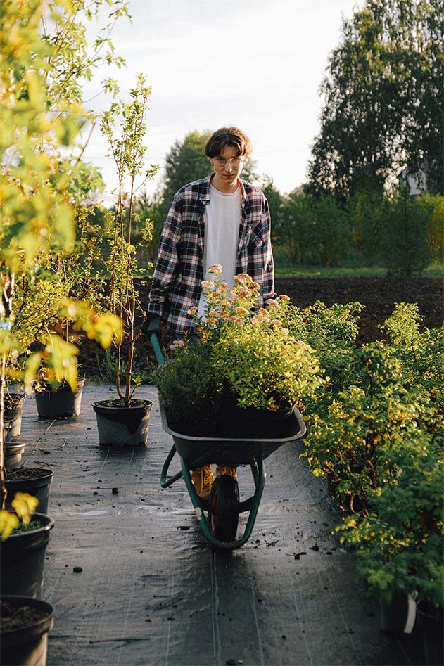 Haal het maximale uit je planten met de extra bemeste potgrond van Substral. Onze grond is speciaal samengesteld om uw planten de voeding te geven die ze nodig hebben. Haal het beste resultaat in uw tuin met de potgrond van Substral.