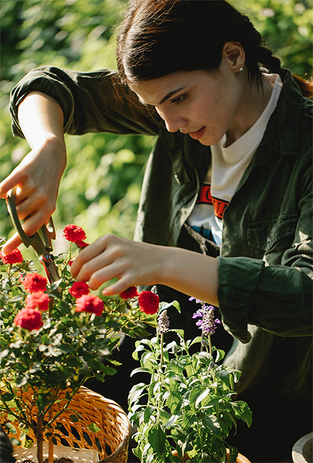 Geef je tuin de beste start met de potgrond van Substral. Onze natuurlijke, biologische formule geeft bloembedden, potten en plantenbakken de voeding die ze nodig hebben om te gedijen. Plant uw bloemen vandaag nog met Substral voor prachtige bloemen het hele seizoen door!