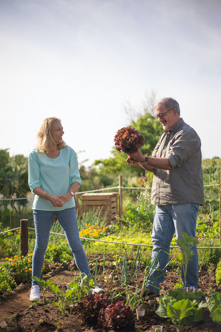 Vind de perfecte bodemverbeteraar voor uw grondsoort met onze handige gids. We helpen je bij het kiezen van de beste bodemverbeteraar voor de behoeften van je planten, van klei tot slib tot zand en meer. Haal het maximale uit uw bodem met onze bodemverbeteraars van Substral. 