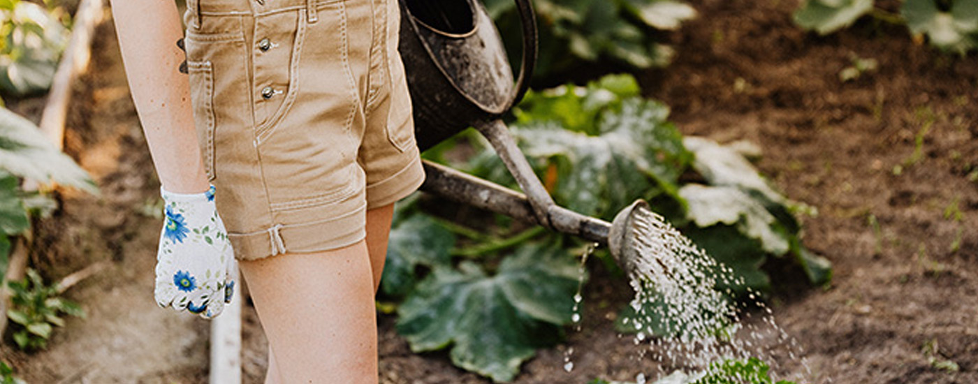 Ben je bang dat je je planten te veel of te weinig water geeft? Leer hoe u de juiste hoeveelheid water voor uw planten kunt bepalen op basis van grondsoort, klimaat en plantensoort. Ontvang tips van experts over hoe je je planten gezond en gehydrateerd kunt houden.