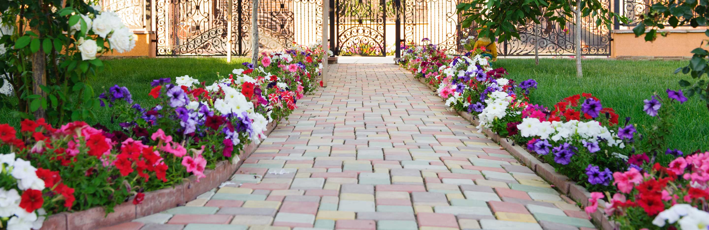 Sauberer Weg mit blühenden Gartenblumen
