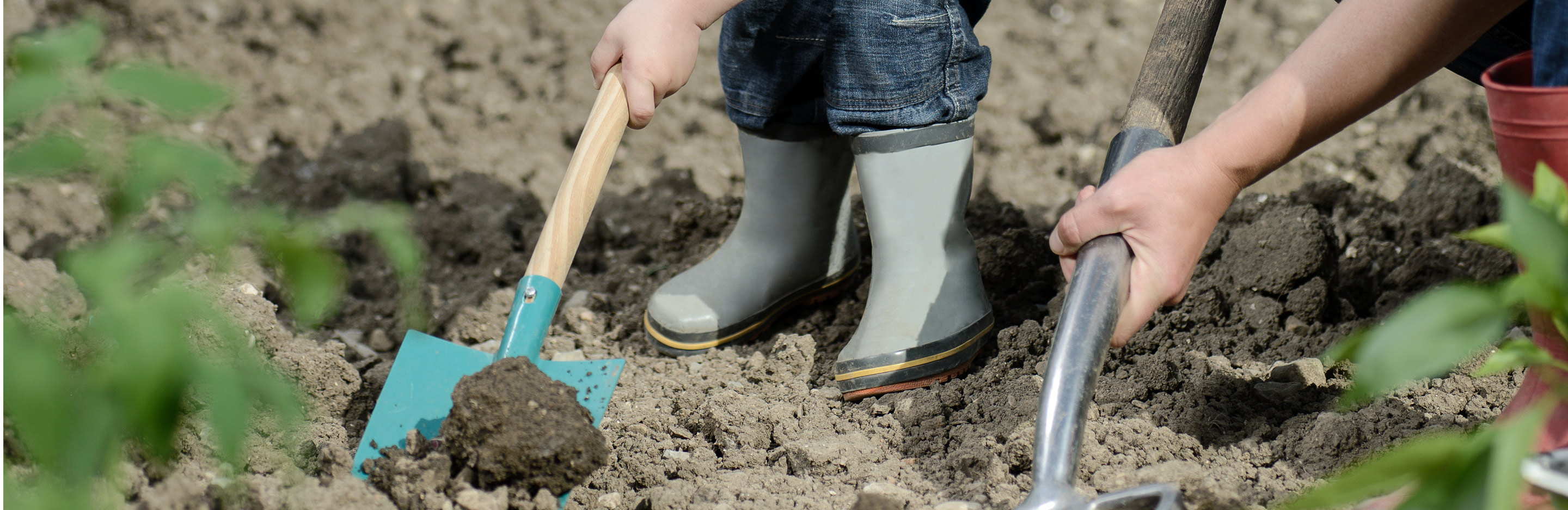 Beete winterfest machen