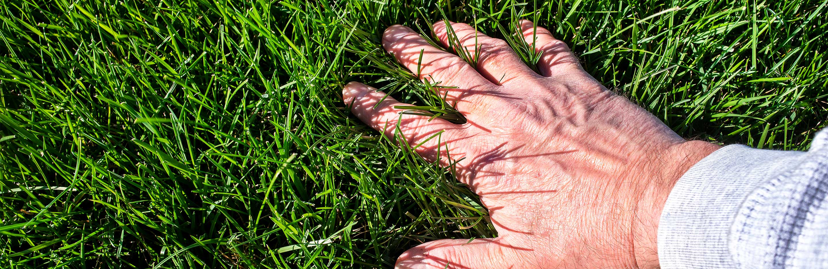 Den pH-Wert im Boden messen