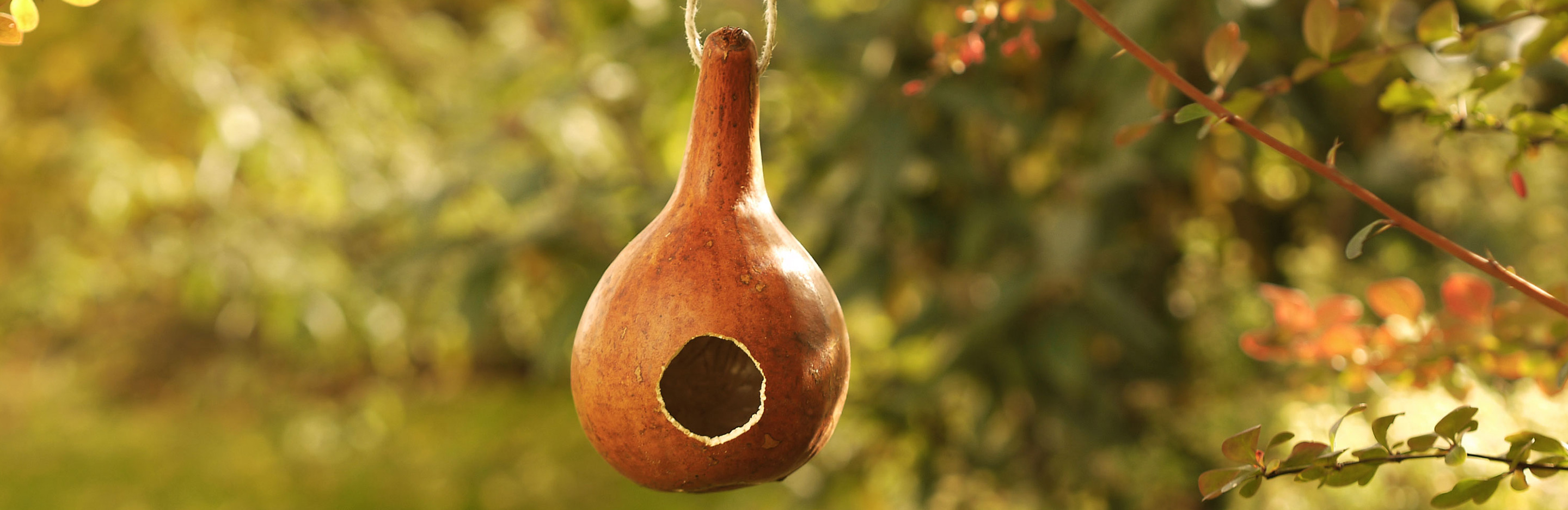 Bastelspaß mit Flaschenkürbissen