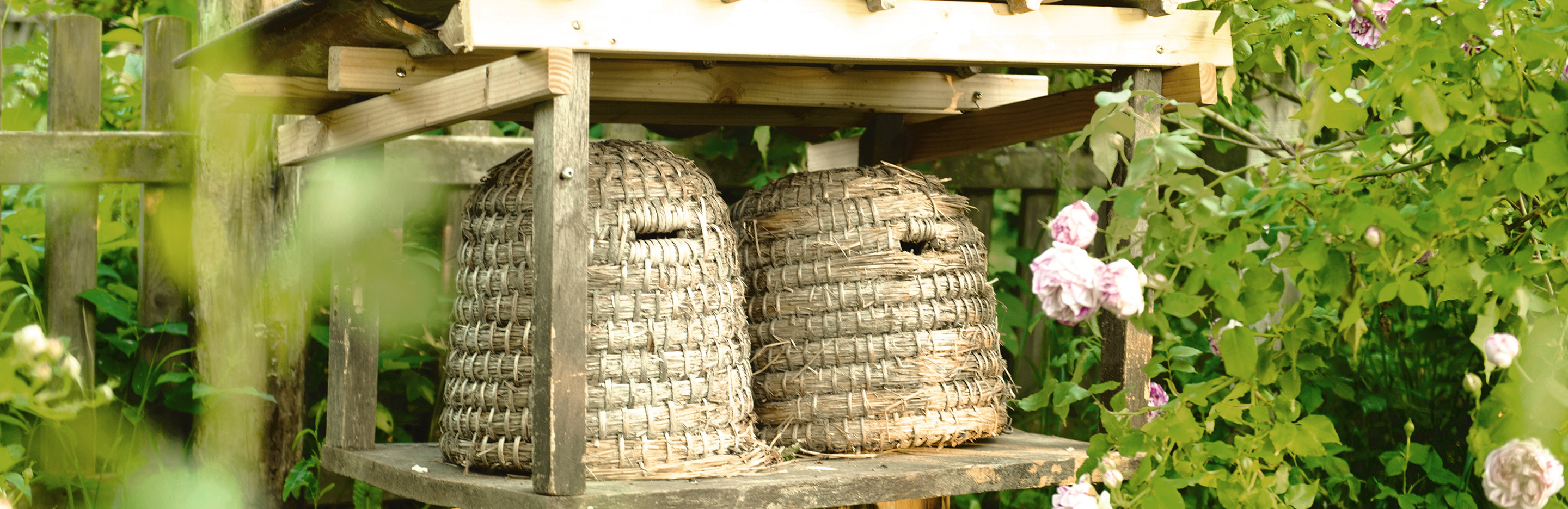 Bienen - schützen und fördern