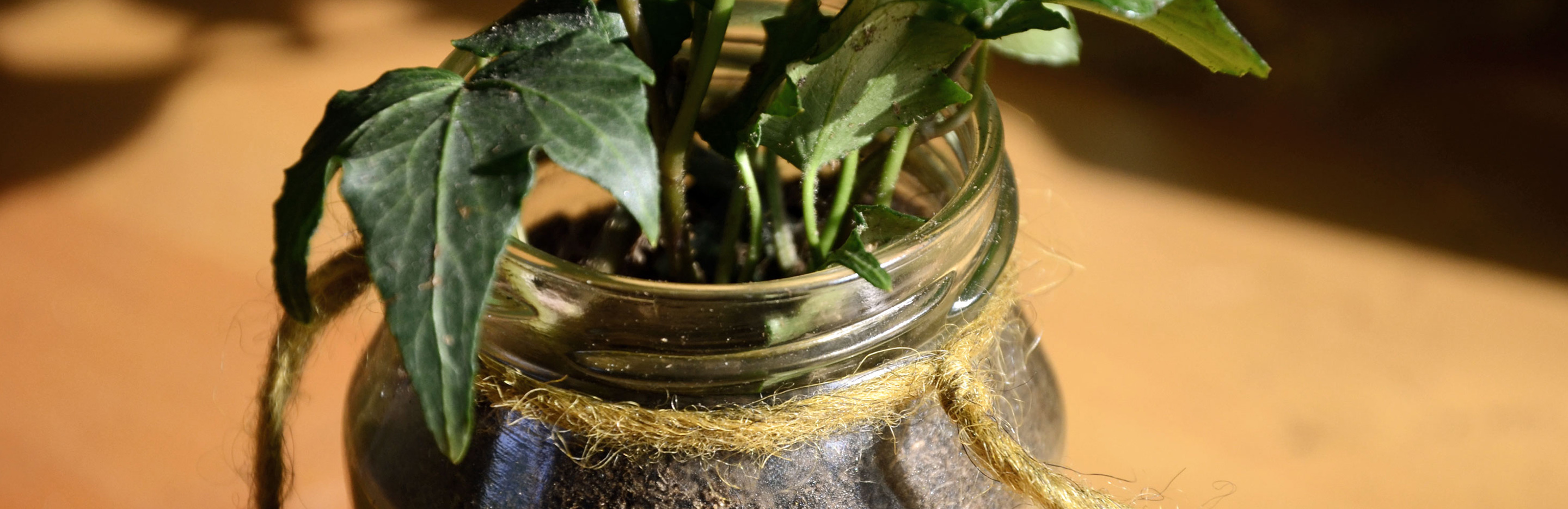 Dekorative Hängegläser