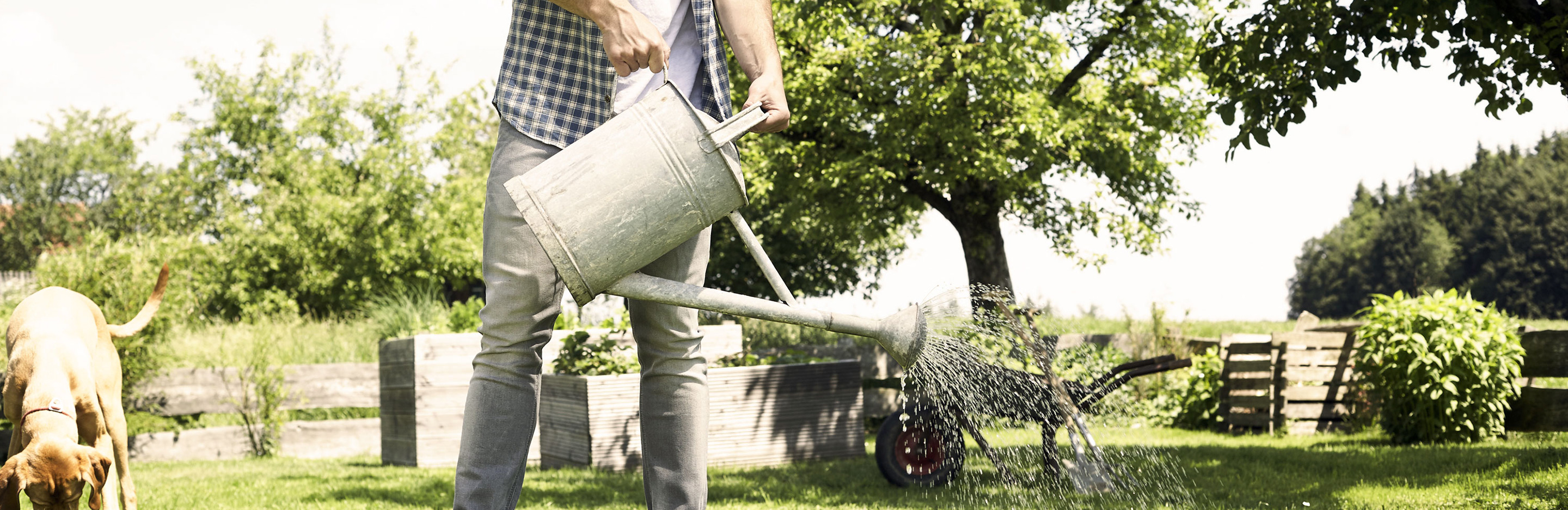 Einsatz von Nützlings Nematoden