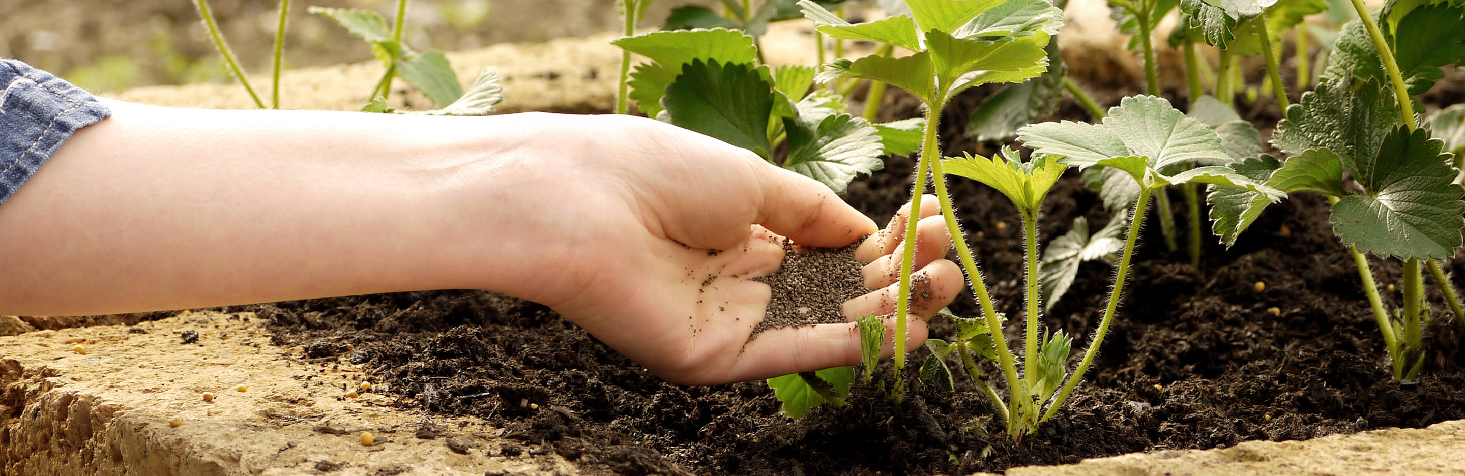 Frühjahrsdüngung für den Garten