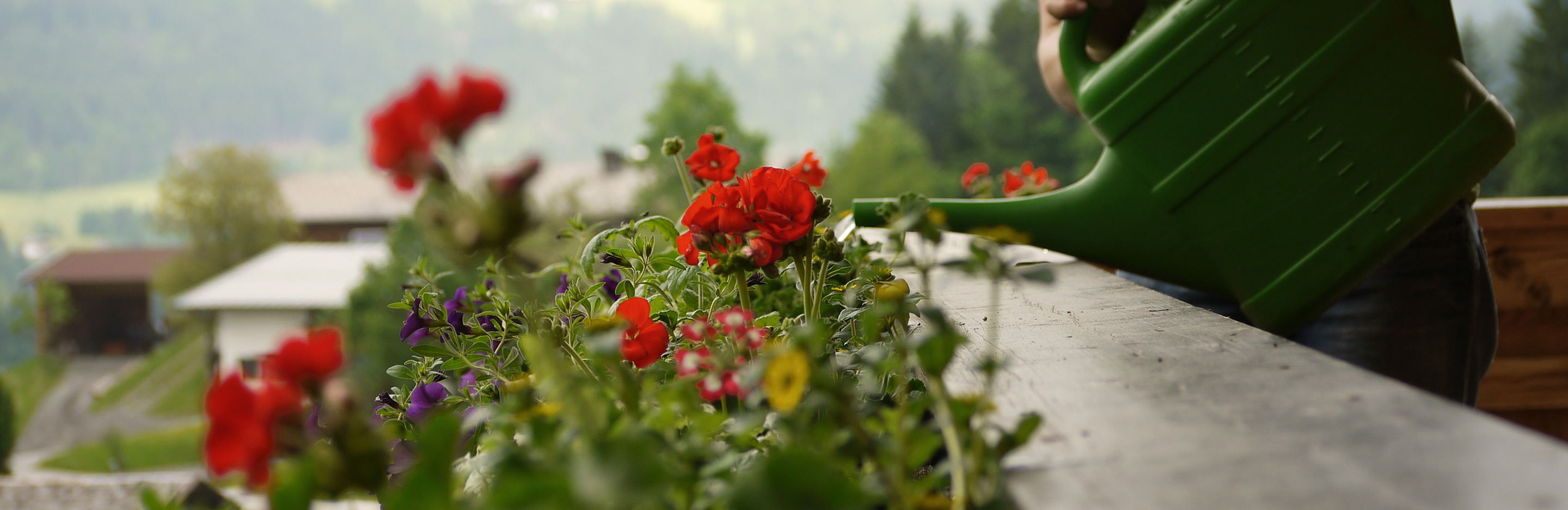 Terrassengestaltung im Frühling