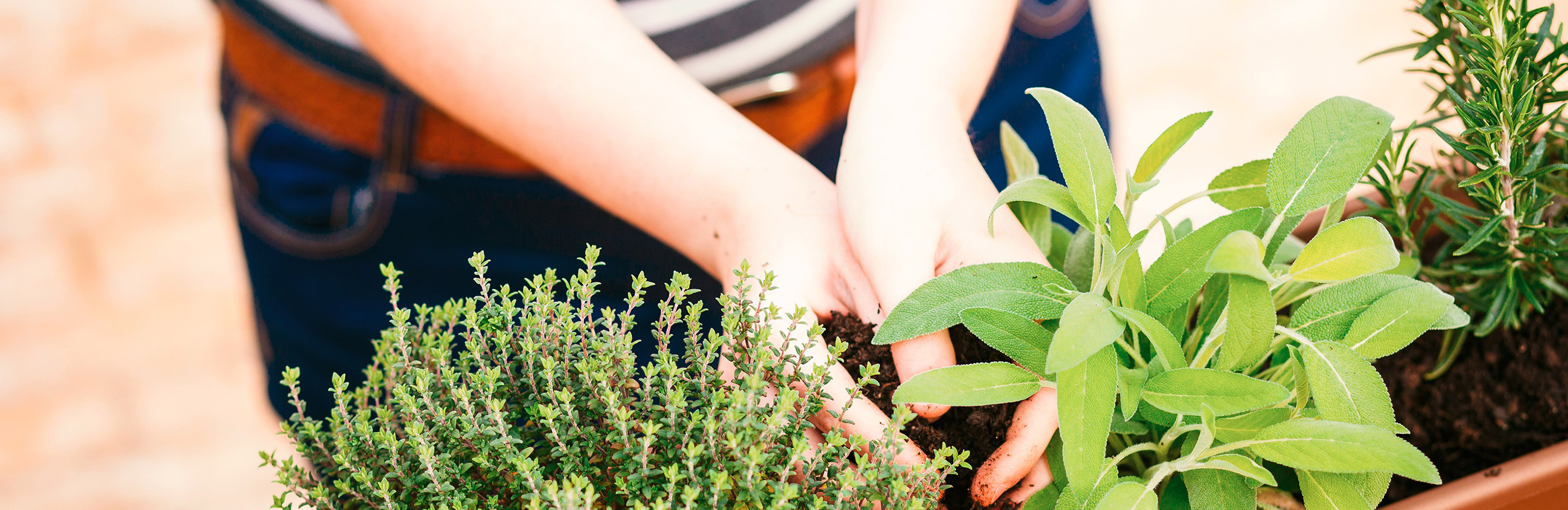 Tipps zum Balkon gestalten