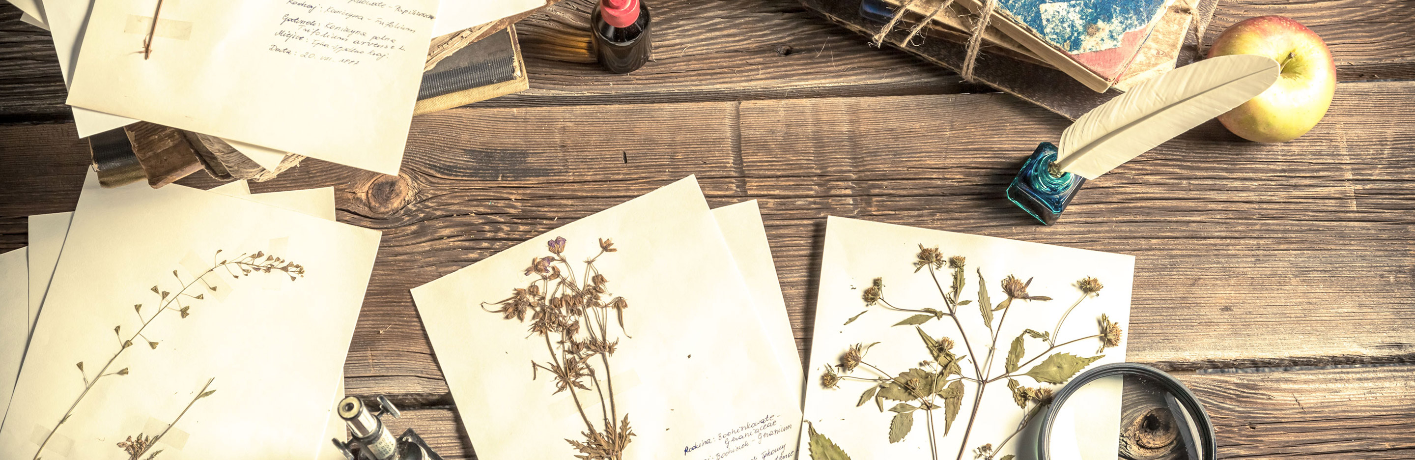 Herbarium