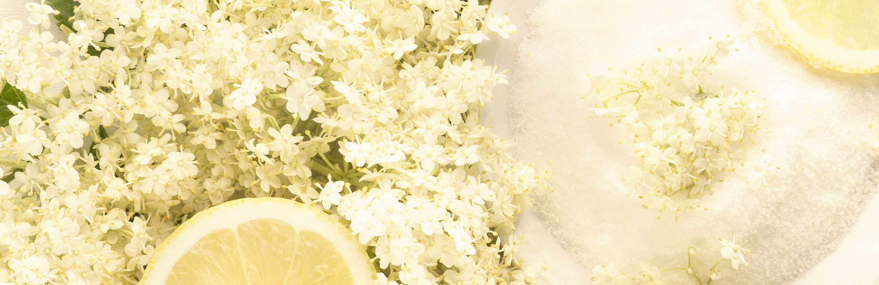 Holunderblütengelee