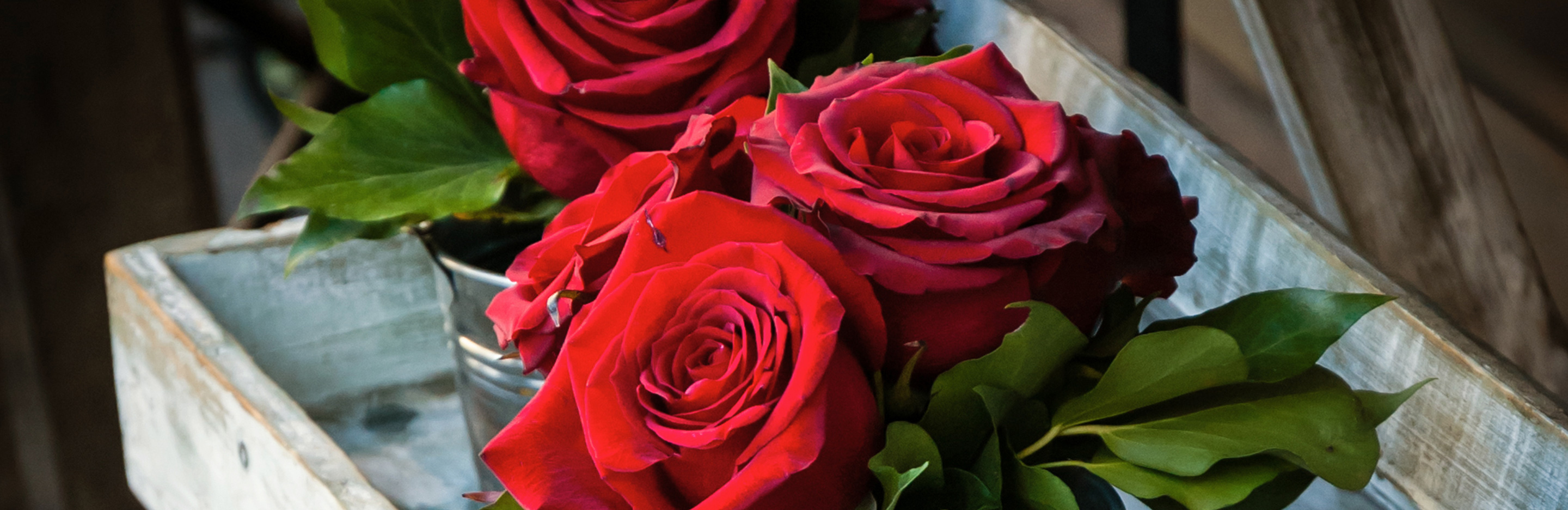 Blumen und ihre Bedeutung