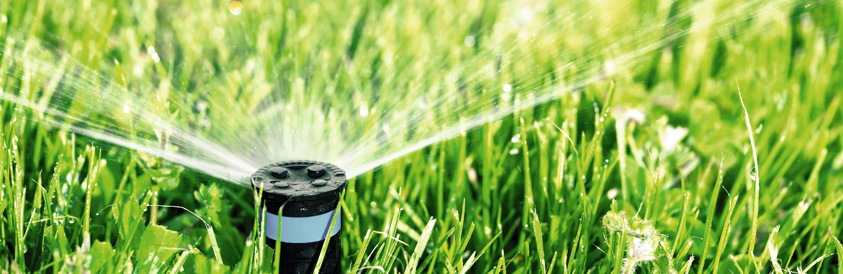 Rasenbewässerung
