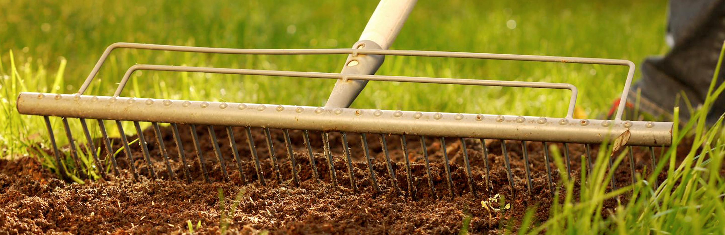 Rasen(d) schnell zu neuem Rasen