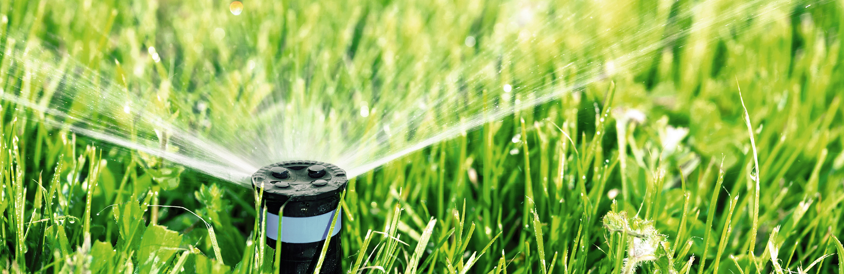 Rasensprenkler
