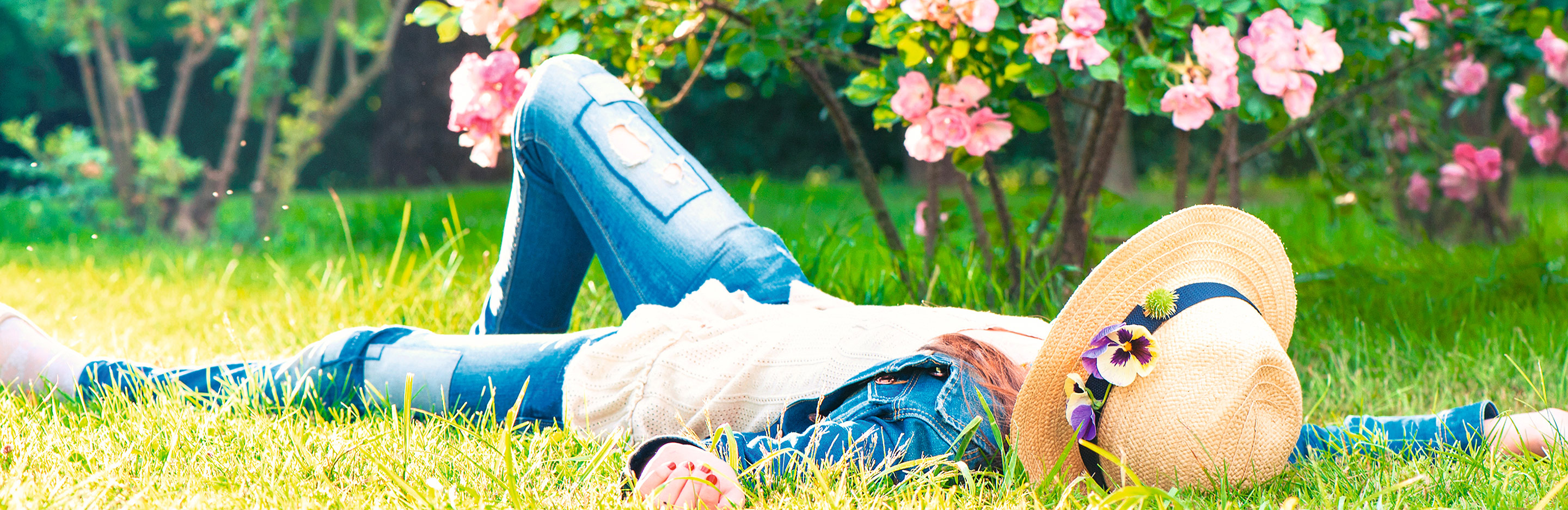 Sommerdüngung für den Rasen