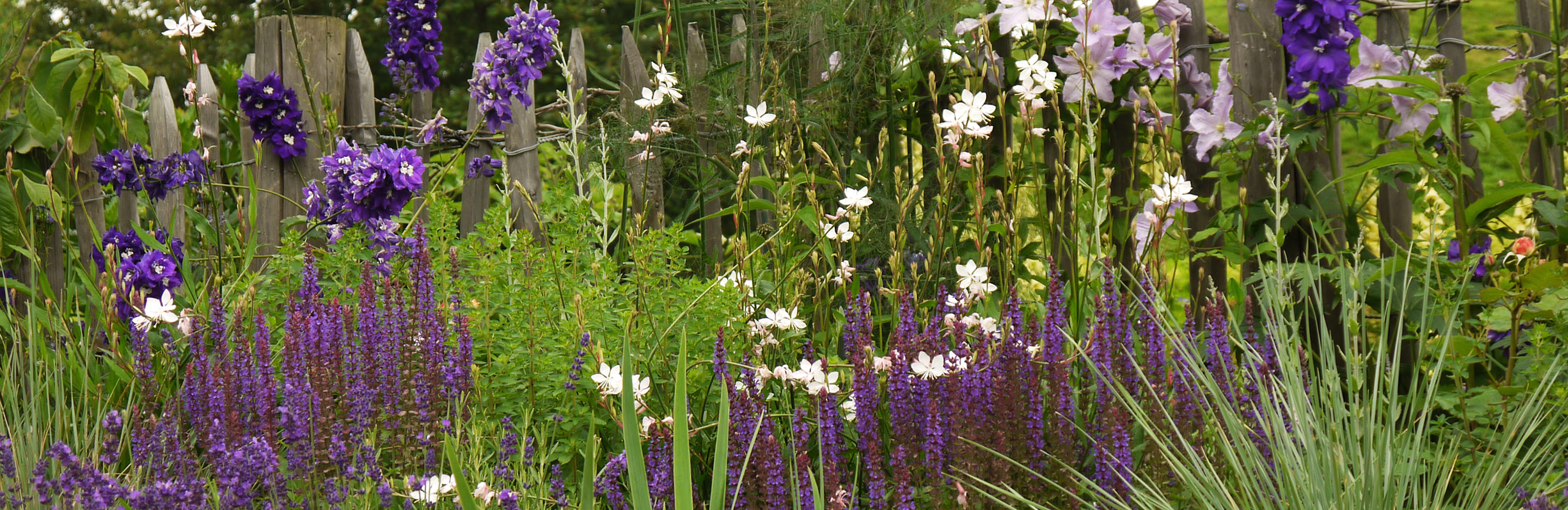  Sommerpflege für Blütenpflanzen