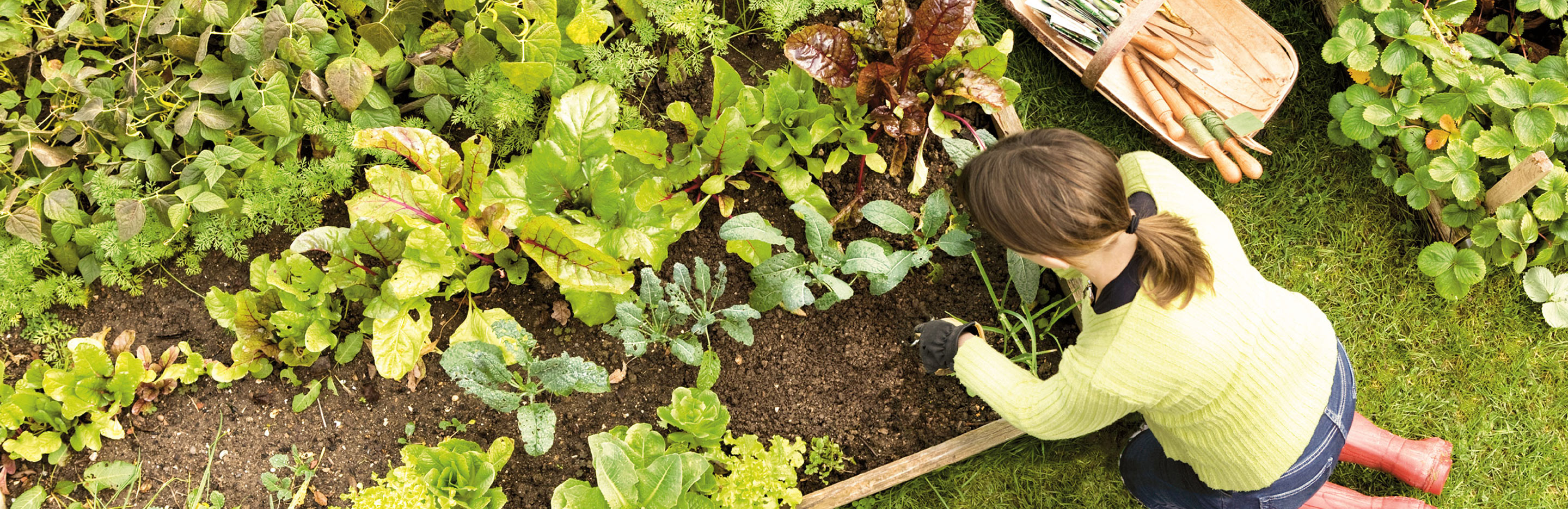 Vorausschauend Gärtnern