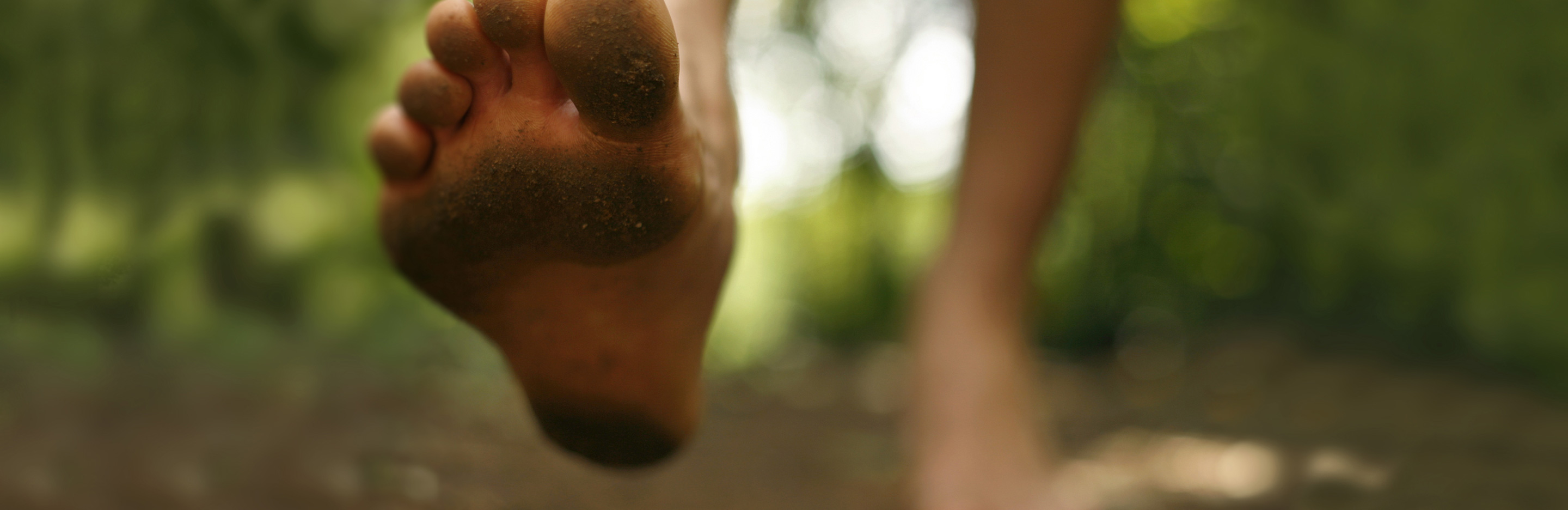 Wandeln auf dem Sinnespfad