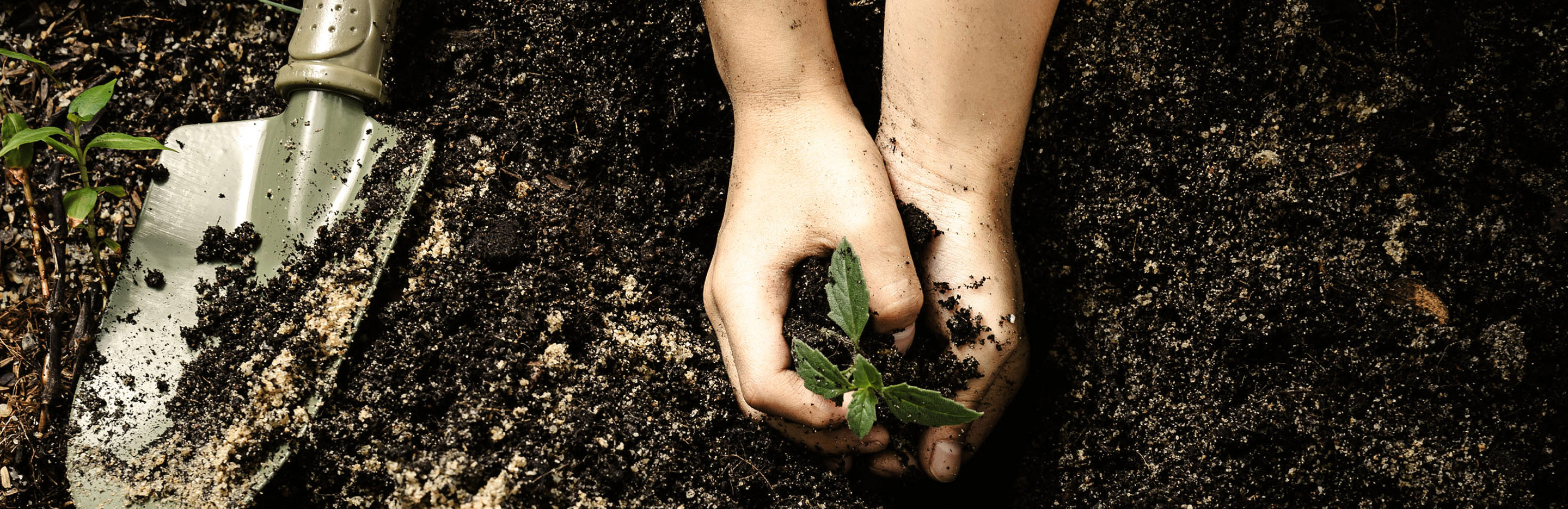 Welche Erde ist die Richtige?