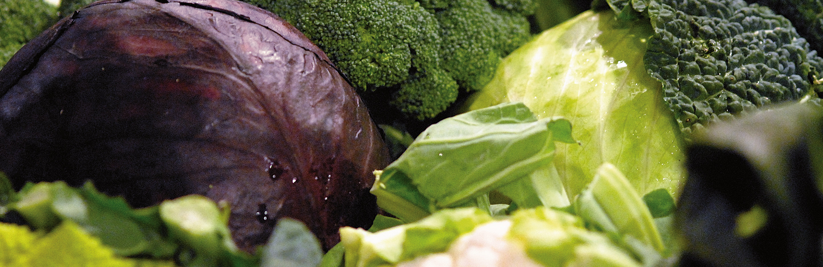 Wintergemüse ernten