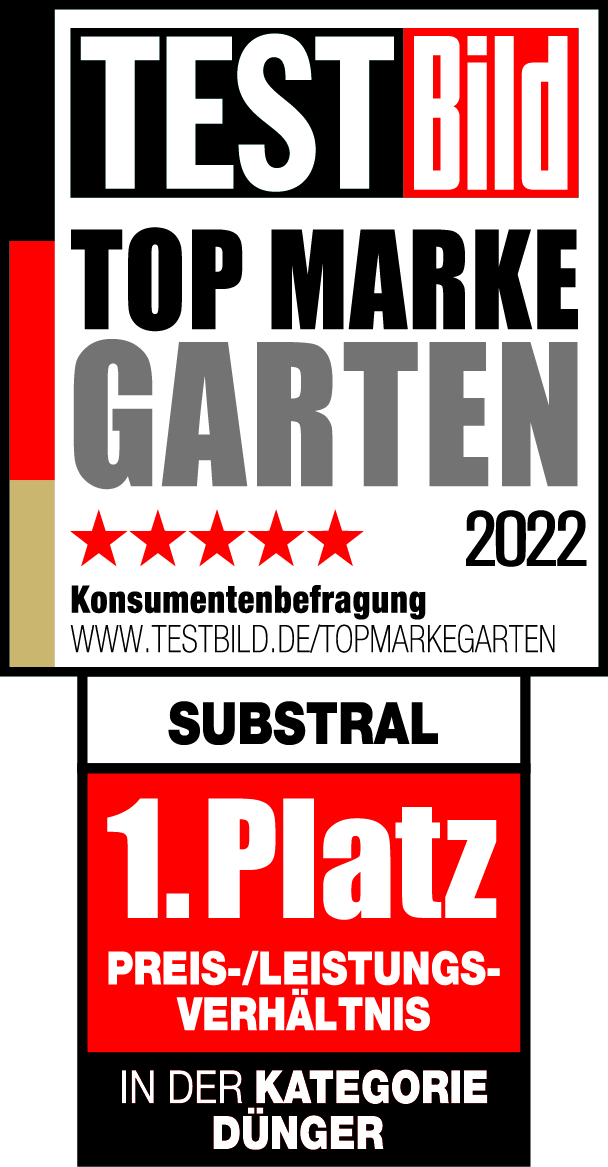 BILD Testsiegel 1. Platz