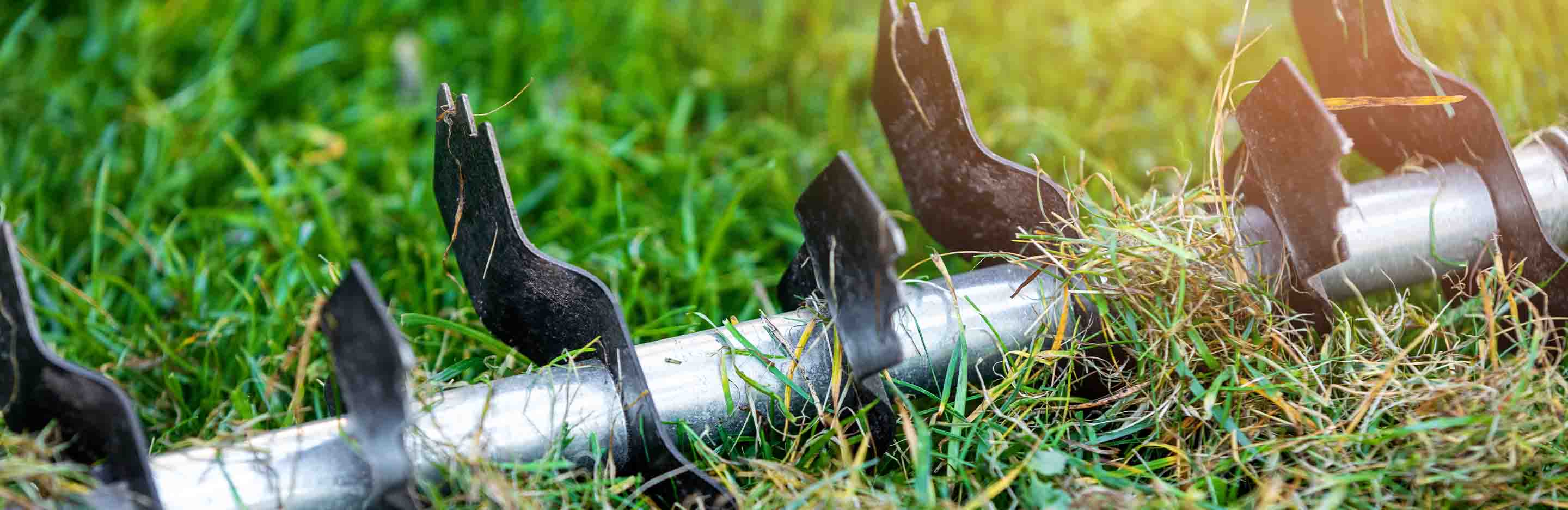 Rasen Vertikutierer Messer