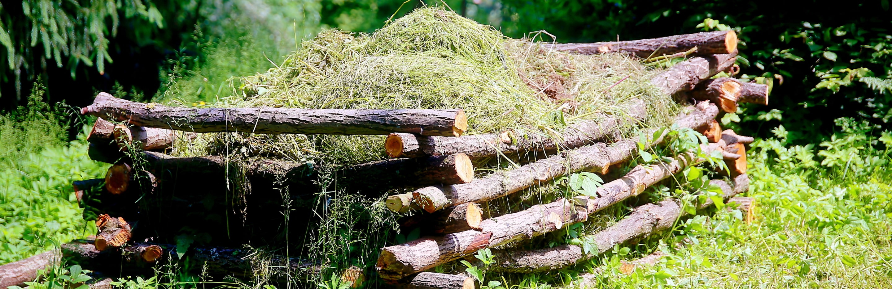 Kompostowanie ściętej trawy