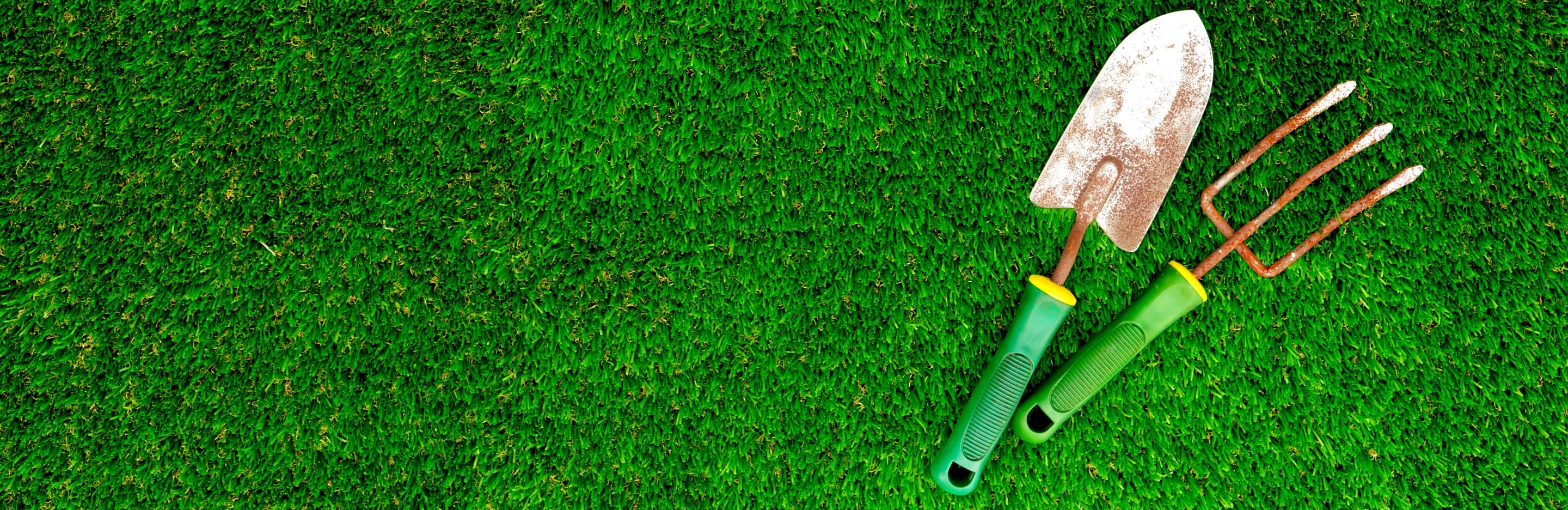 Zielony i gęsty trawnik z narzędziami ogrodniczymi