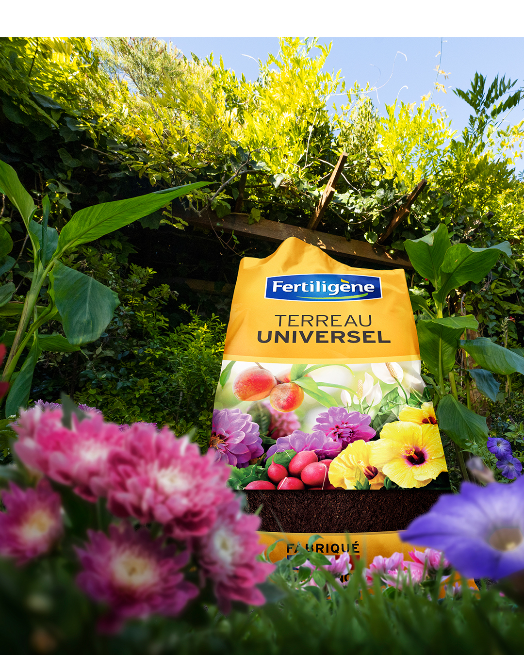 Fertiligene Terreau Universel