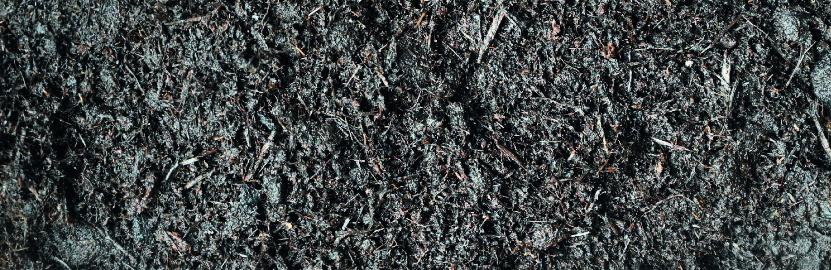 How to Make Soil Acidic