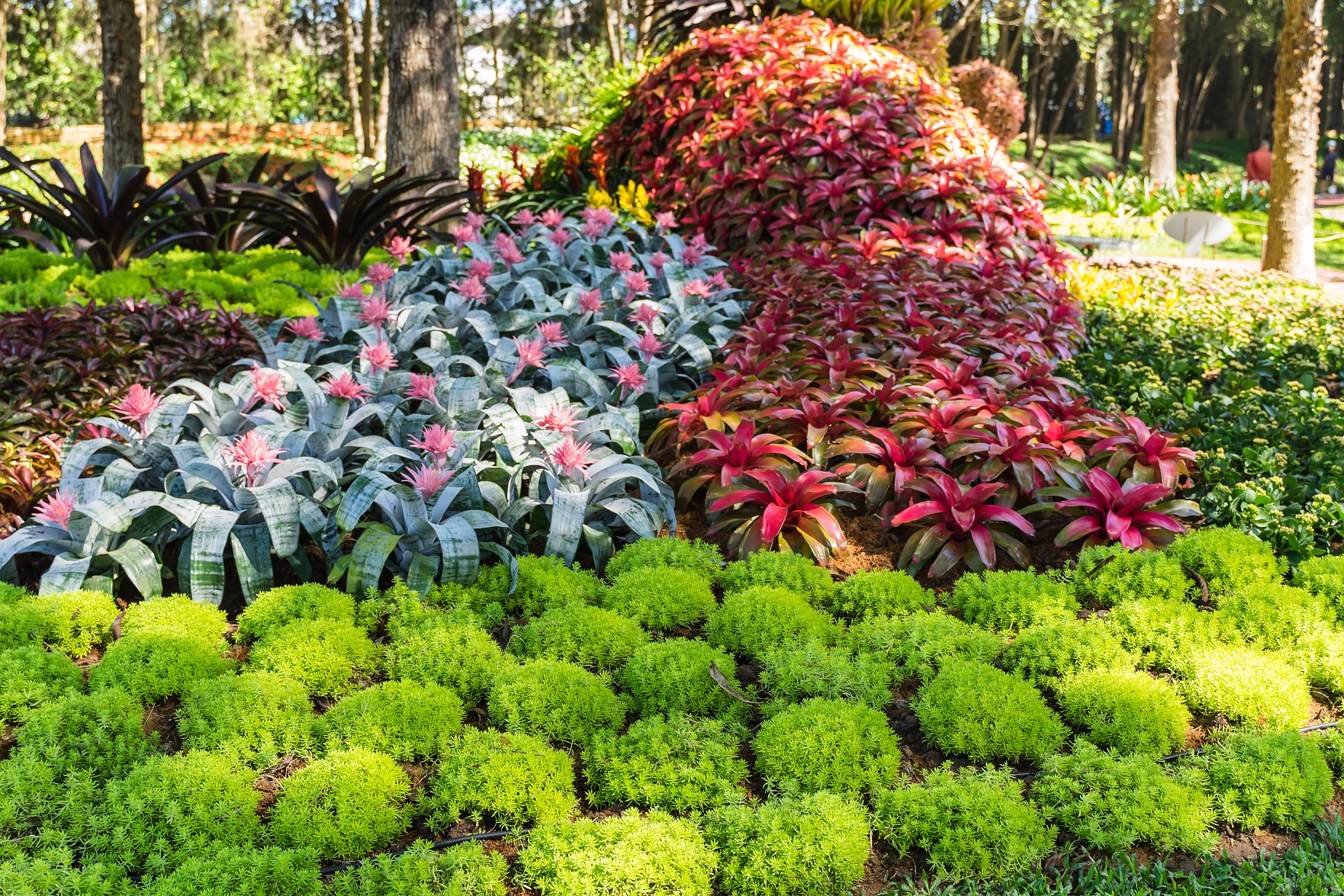 Borders en bloembedden