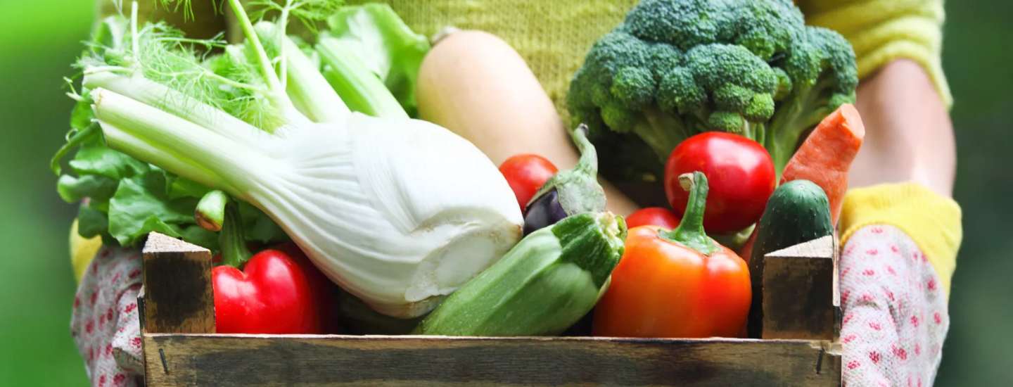 Corporate Responsibility