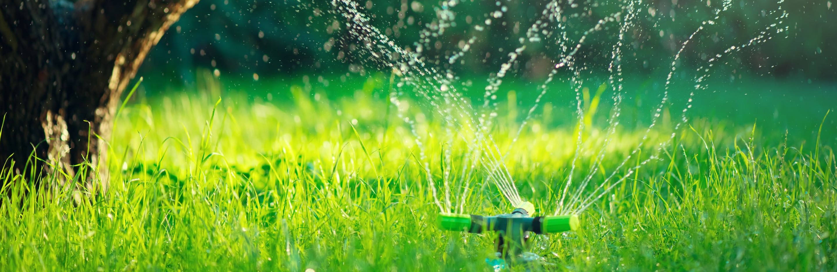 Rasenbewässerung