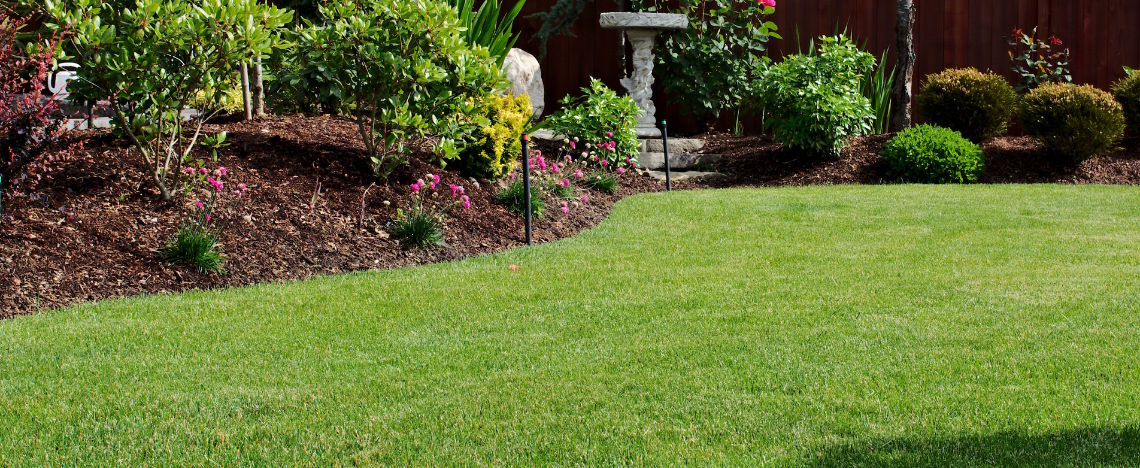 Een gezond, diepgroen en strak gemaaid gazon langs een border met planten en boomschors, het resultaat van goede gazonverzorging met Revolution Gazon.